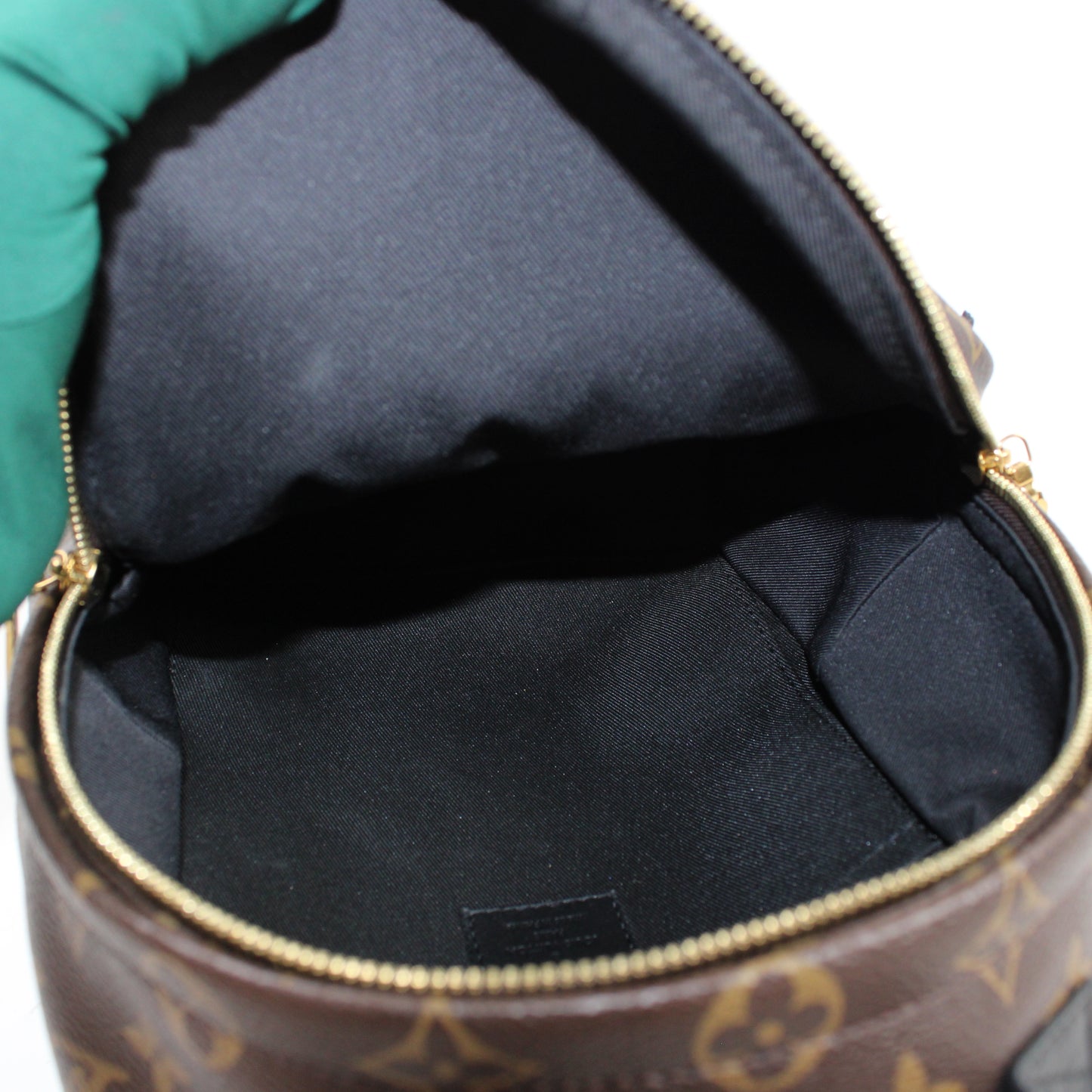 Louis Vuitton Palm Springs PM Monogram