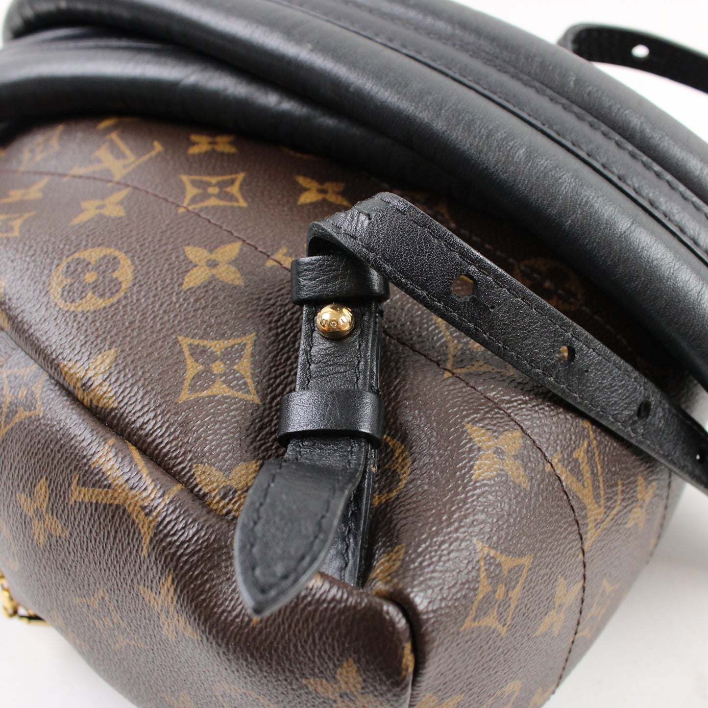 Louis Vuitton Palm Springs PM Monogram