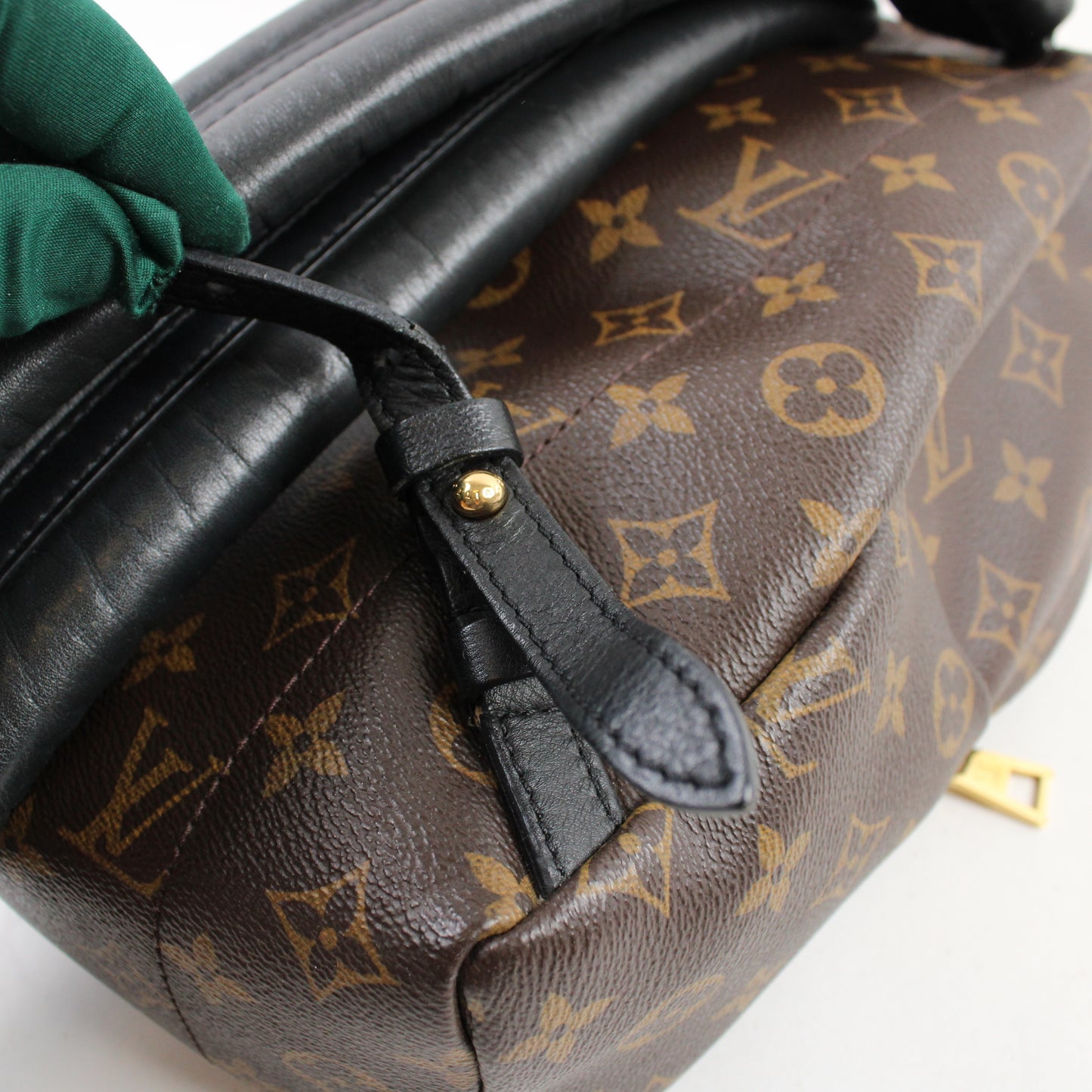 Louis Vuitton Palm Springs PM Monogram