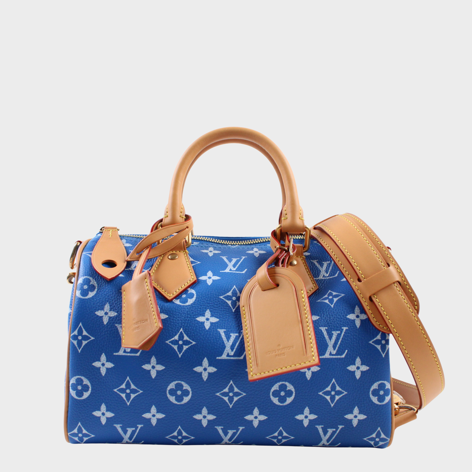 Louis Vuitton Speedy P9 Bandoulière 25