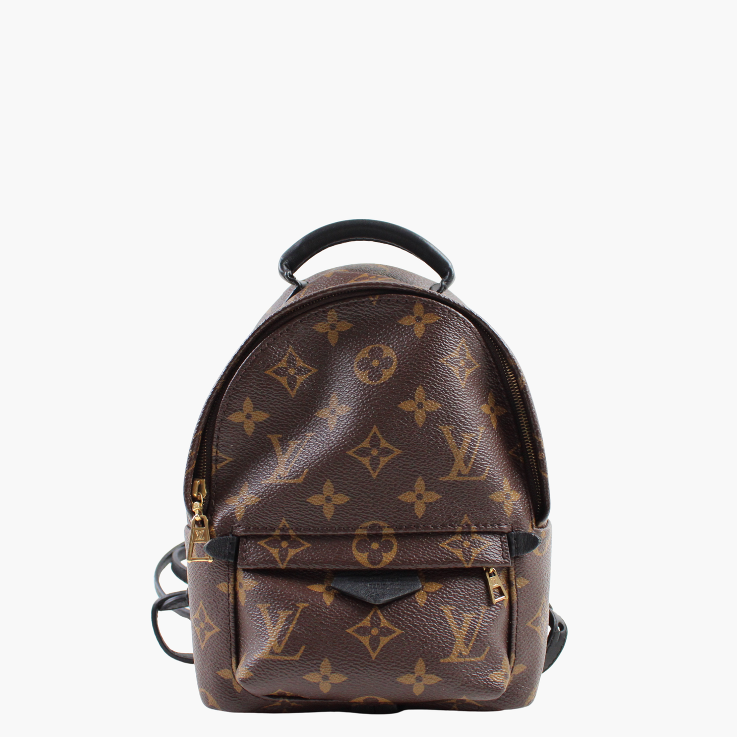 Louis Vuitton Zaino Palm Springs Mini