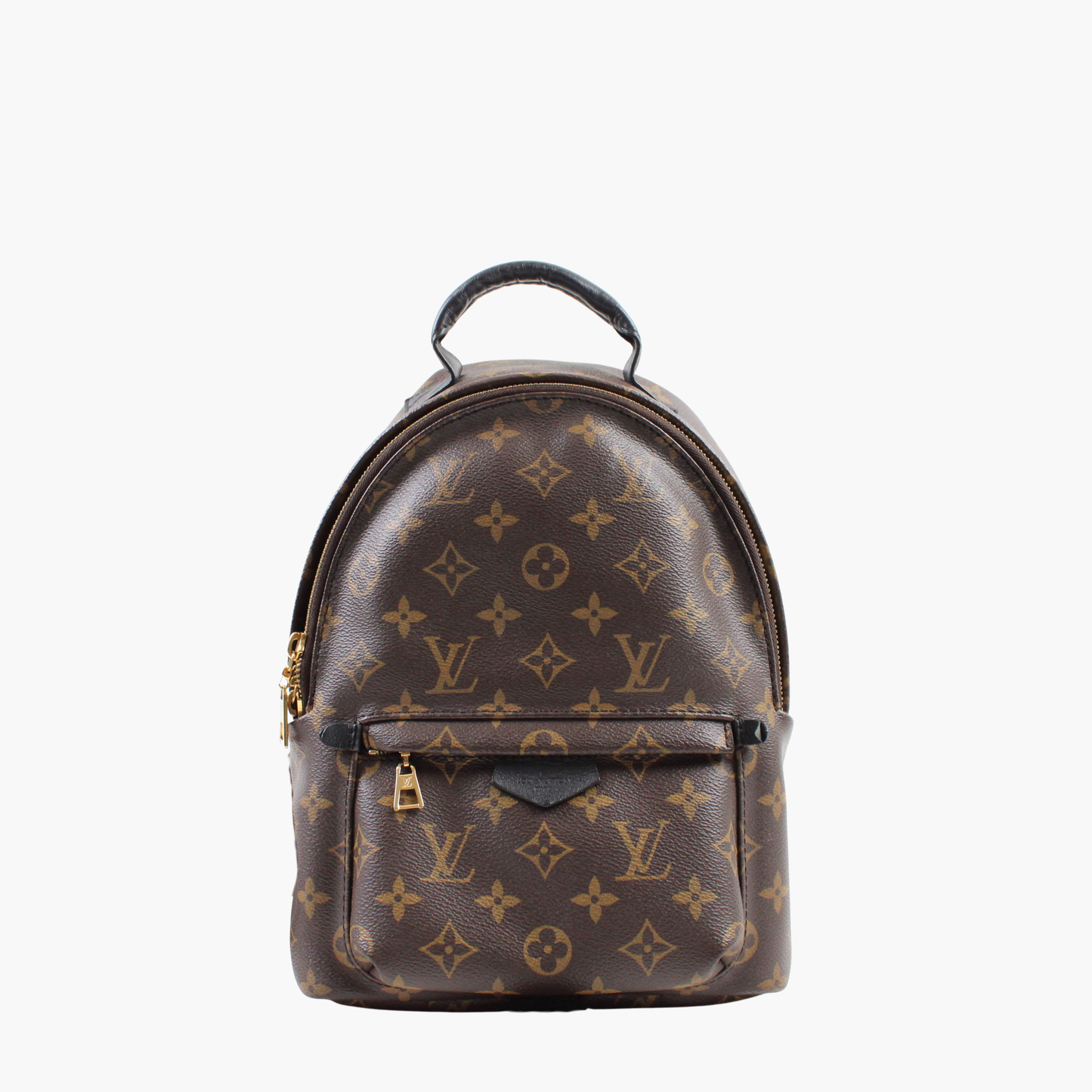 Louis Vuitton Palm Springs PM Monogram
