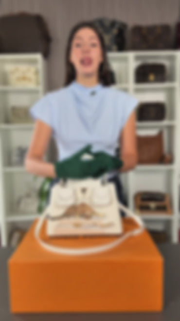 Louis Vuitton Artsy Capucines X Paola Pivi