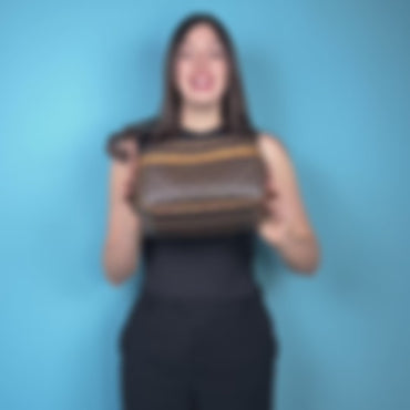 Louis Vuitton Reporter Monogram